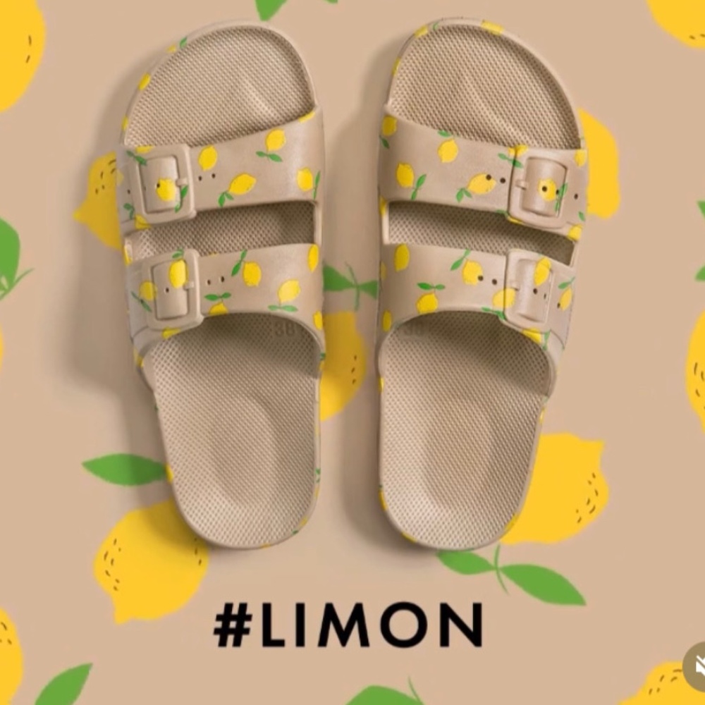 Freedom Moses Limon Slides